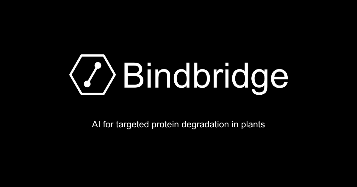 Bindbridge